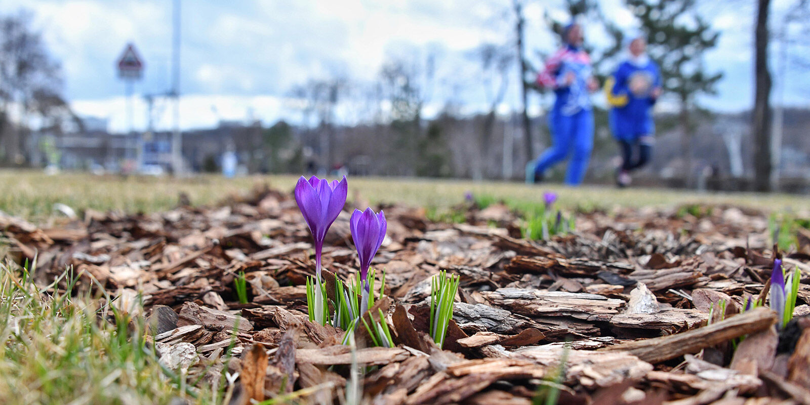 Весна в Нижегородской области
