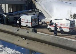 Два человека погибли при падении рейсового автобуса с эстакады в Подмосковье