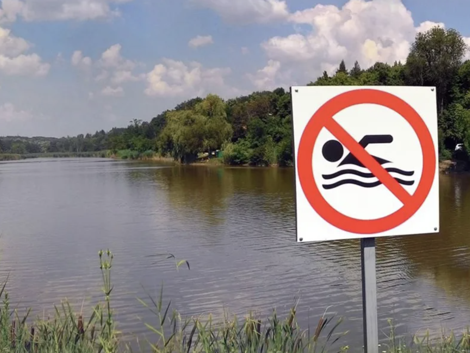 Купаться запрещено картинки. Знак «купаться запрещено». Купание запрещено табличка. Знаки запрещающие купание в водоемах. Аншлаг купание запрещено.
