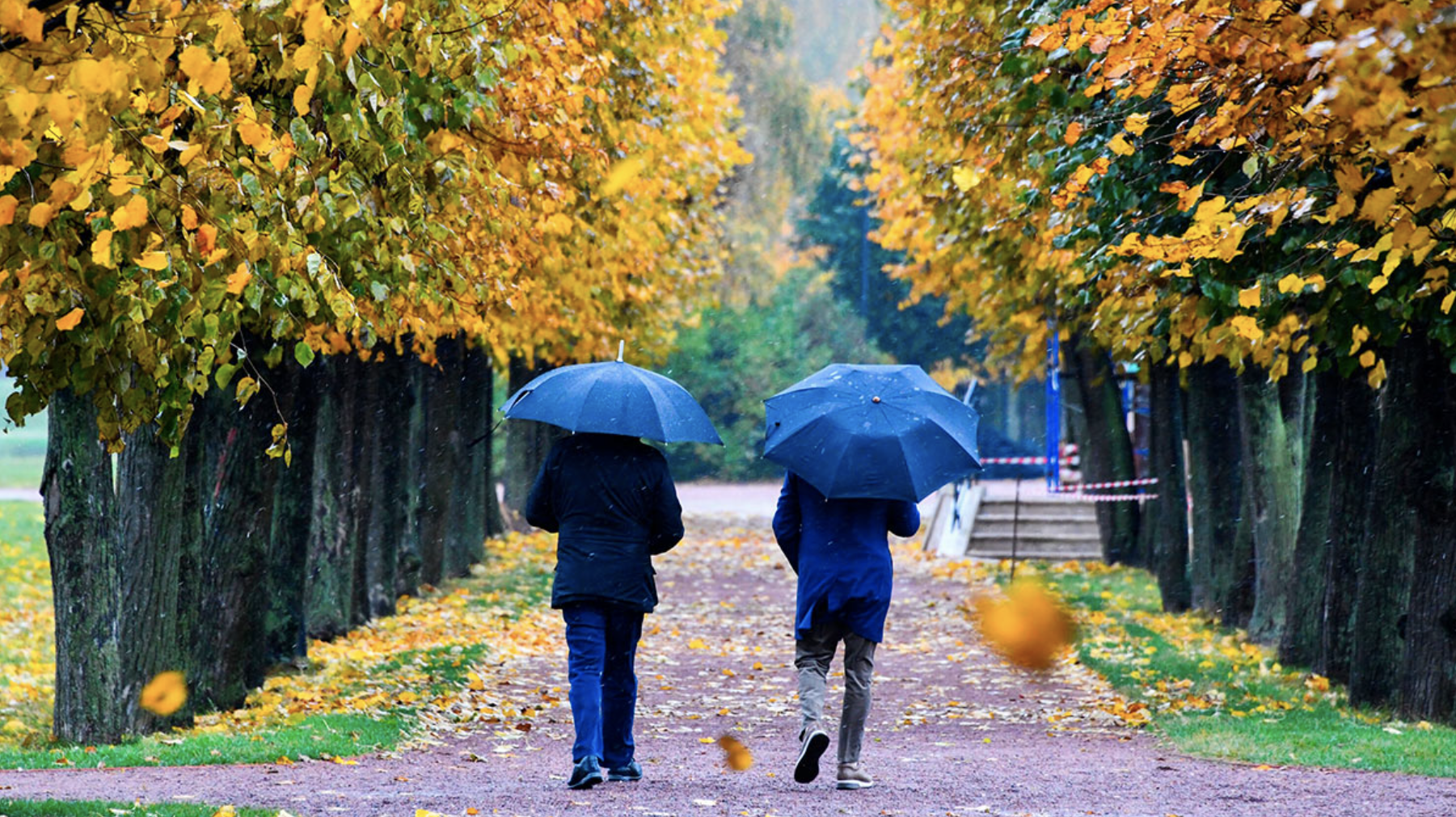Погода утром 1 сентября. Осень в Москве. Москва осенью. Осень пришла в Москву. Осенний дождь в городе.