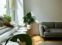 Исследование: самое недорогое вторичное жилье можно купить в Оренбурге