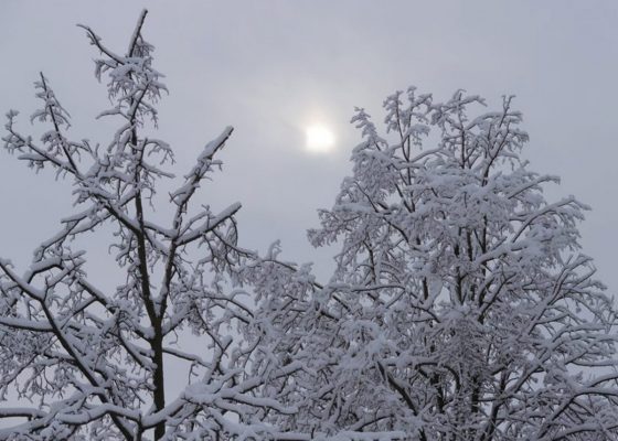 В Москве 30 ноября будет метель, 1 декабря — мороз