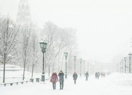 В Москве прошел самый сильный с 2012 года ноябрьский снегопад