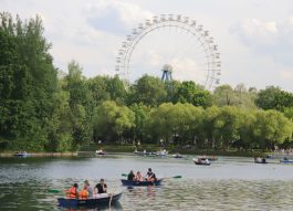В московских парках запустят сервис бронирования пикниковых зон