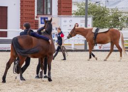 На площадке ВДНХ пройдёт Открытый московский фестиваль конного искусства и спорта